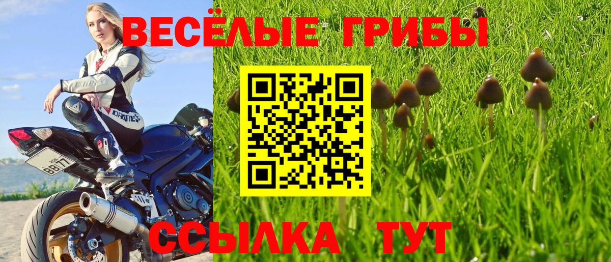 Псилоцибиновые грибы MAGIC MUSHROOMS  Вход с VPN  Галлюциногенные грибы ЛСД  Ставрополь 